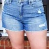 Judy Blue - 150059 - 5422 BOTTOMS JUDY BLUE - High Waist Distressed Denim Shorts