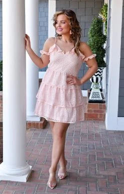 Andree - 94525-PP - 2522 Bring It Back Lace Dress - Blush DRESSES